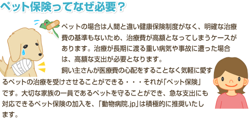ペット保険ってなぜ必要?ペットの場合は人間と違い健康保険制度がなく、明確な治療費の基準もないため、治療費が高額となってしまうケースがあります。治療が長期に渡る重い病気や事故に遭った場合は、高額な支出が必要となります。飼い主さんが医療費の心配をすることなく気軽に愛するペットの治療を受けさせることができる・・・それが「ペット保険」です。大切な家族の一員であるペットを守ることができ、急な支出にも対応できるペット保険の加入を、「動物病院.jp」は積極的に推奨いたします。
